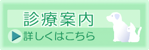 ボタン‗診療案内_110653